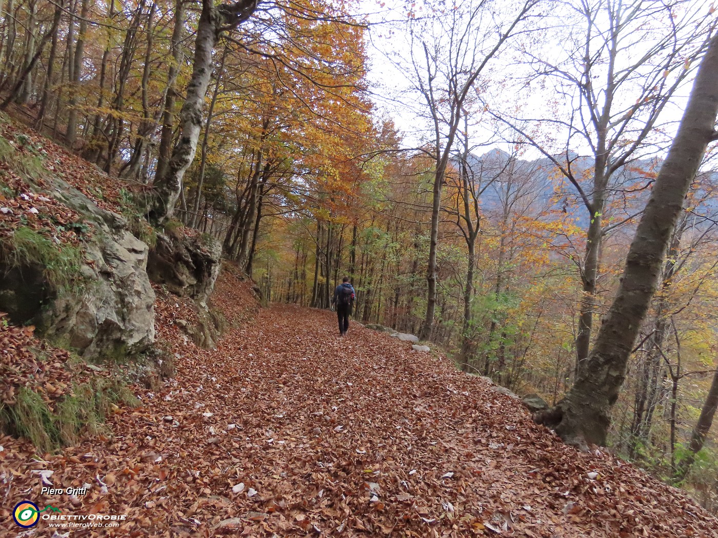 62 Breve tratto sulla strada agrosilvopastorale.JPG